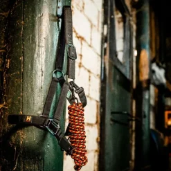 New Horseware - Licol et longe Newmarket witney gold Jaune