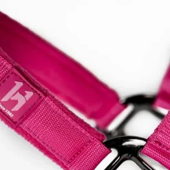 New Horseware - Licol et longe Newmarket witney pink Rose