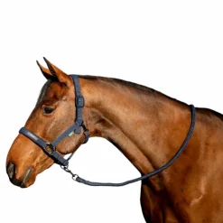 Horseware - Licol et longe Amigo Marine New