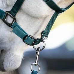 Outlet Horseware - Licol et longe dynasty green Vert