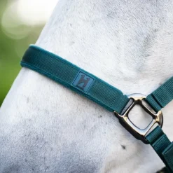 Outlet Horseware - Licol et longe dynasty green Vert