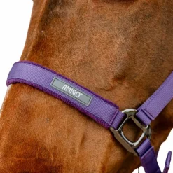Online Horseware - Licol et longe Amigo winterberry Violet