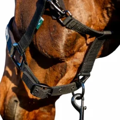 Horseware - Licol et longe Amigo Noir Discount