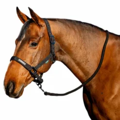 Horseware - Licol et longe Amigo Noir Discount