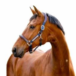 Horseware - Licol pour chevaux Signature Competition marine/ marron Bleu Clearance