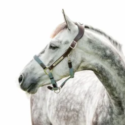 Horseware - Licol pour chevaux Signature Tressé marron/ marine/ blue haze Bleu