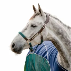 Horseware - Licol pour chevaux Signature Tressé marron/ marine/ hunter green Vert Best