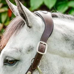 Horseware - Licol pour chevaux Signature Tressé marron/ marine/ hunter green Vert Best