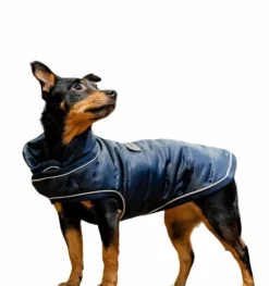Sale Horseware - Manteau pour chiens Signature 200g Marine