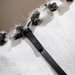 Outlet Horseware - Rênes Curb Marron