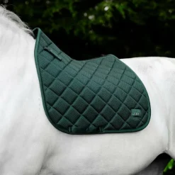 Horseware - Tapis de dressage Alessandro Albanese Performance hunter green Vert Discount