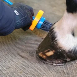 Imperial Riding - Pinceau avec pot / bleu Orange Hot