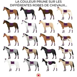 Sale Imperial Riding - Tapis de dressage IRHIImperial Ambient Flower Prune