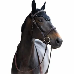 Jump'In - Bonnet pour chevaux Balthazar / diamant Noir Sale