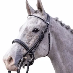 Hot Jump'In - Bride vernie avec rênes