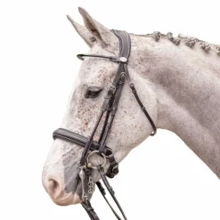 Hot Jump'In - Bride vernie avec rênes