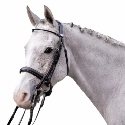 Hot Jump'In - Bride vernie avec rênes