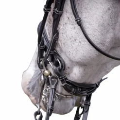 Hot Jump'In - Bride vernie avec rênes