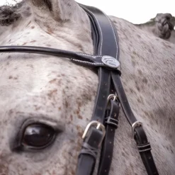 Hot Jump'In - Bride vernie avec rênes