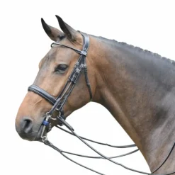 Hot Jump'In - Bride vernie avec rênes