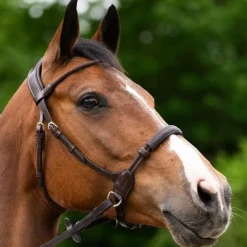 Jump'In - Bridon bitless Evolution havane Marron