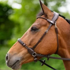 Jump'In - Bridon bitless Evolution havane Marron