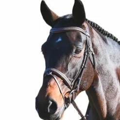 Sale Jump'In - Bridon Carat collection One premium Havane