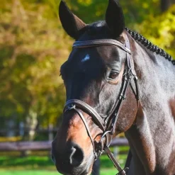 Sale Jump'In - Bridon Carat collection One premium Havane