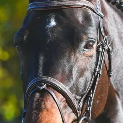 Sale Jump'In - Bridon Carat collection One premium Havane