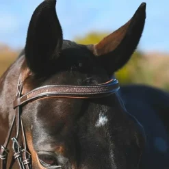 Sale Jump'In - Bridon Carat collection One premium Havane