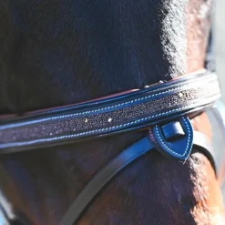 Sale Jump'In - Bridon Carat collection One premium Havane