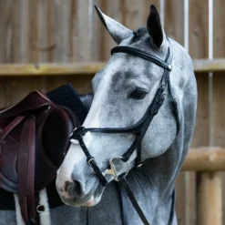 New Jump'In - Bridon muserolle croisée Evolution Noir