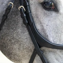 New Jump'In - Bridon muserolle croisée Evolution Noir