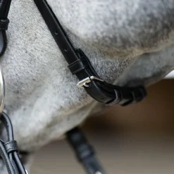 New Jump'In - Bridon muserolle croisée Evolution Noir