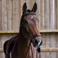 Online Jump'In - Bridon muserolle allemande Evolution noisette Marron