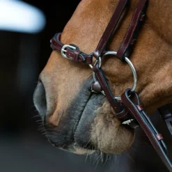 Online Jump'In - Bridon muserolle allemande Evolution noisette Marron