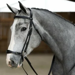 Online Jump'In - Bridon muserolle allemande Evolution noisette Marron