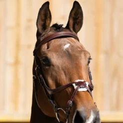 Discount Jump'In - Bridon muserolle croisée Evolution noisette Marron