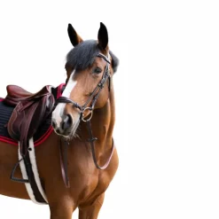 Clearance Jump'In - Bridon muserolle allemande Evolution havane Marron