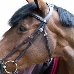 Clearance Jump'In - Bridon muserolle allemande Evolution havane Marron