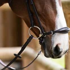 Clearance Jump'In - Bridon muserolle allemande Evolution havane Marron