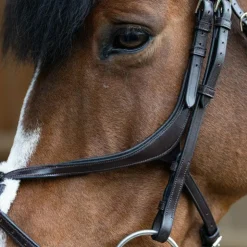 Hot Jump'In - Bridon muserolle croisée Evolution havane Marron