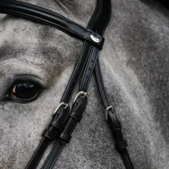 Jump'In - Bridon muserolle combinée Evolution Noir Outlet