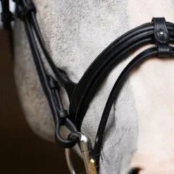 Jump'In - Bridon muserolle combinée Evolution Noir Outlet