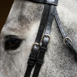 Jump'In - Bridon muserolle combinée Evolution Noir Outlet