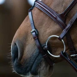 Jump'In - Bridon muserolle combinée Evolution noisette Marron Outlet