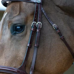 Jump'In - Bridon muserolle combinée Evolution noisette Marron Outlet