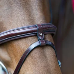 Jump'In - Bridon muserolle combinée Evolution noisette Marron Outlet