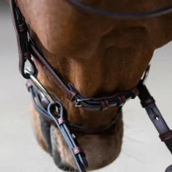 Jump'In - Bridon muserolle combinée Evolution noisette Marron Outlet