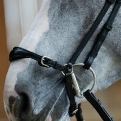 Outlet Jump'In - Bridon muserolle allemande Evolution Noir